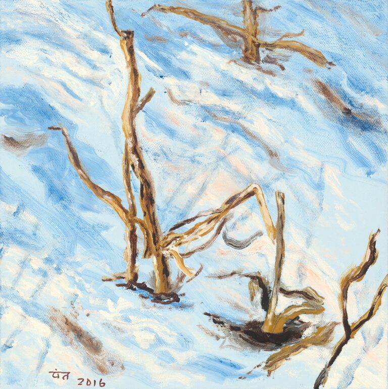 18371-Bharat-Pant-1-web-California-site